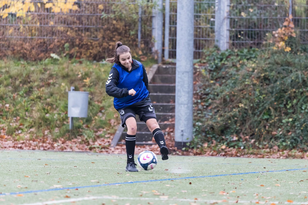 Bild 149 - wBJ Harburger TB - Holstein Kiel : Ergebnis: 2:1